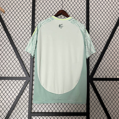 Mexico 2024 Away Kit