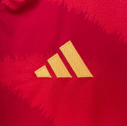 Spain 2024 Home Euros Champions